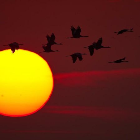 Ferienhaus Tura Pruchten Exteriér fotografie